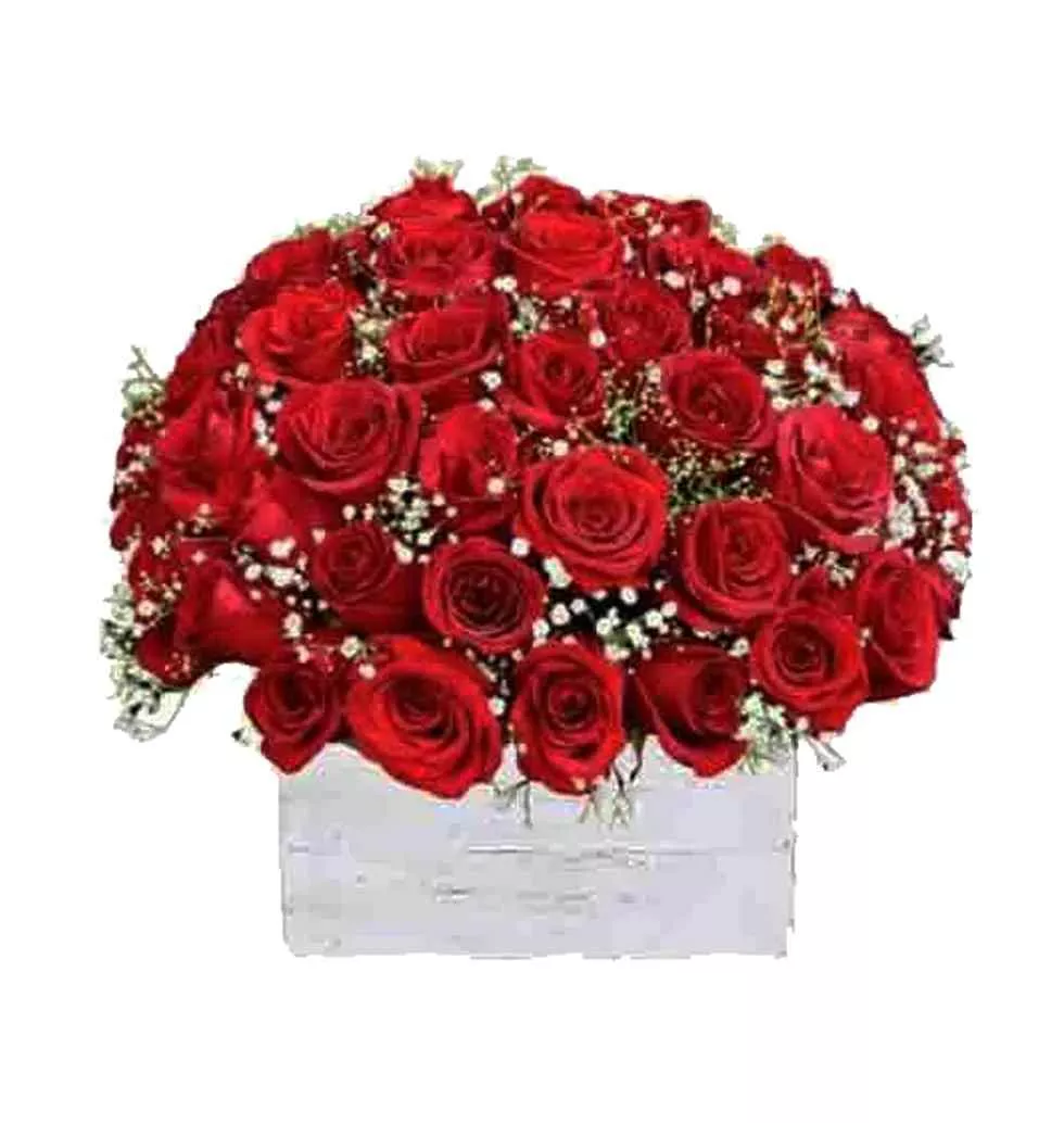 Radiant Pure passion Bouquet of Red Color Roses